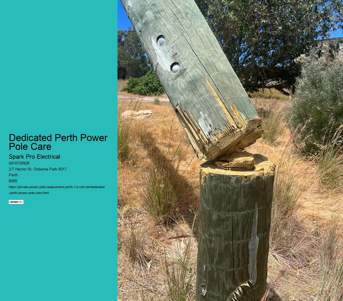 Dedicated Perth Power Pole Care